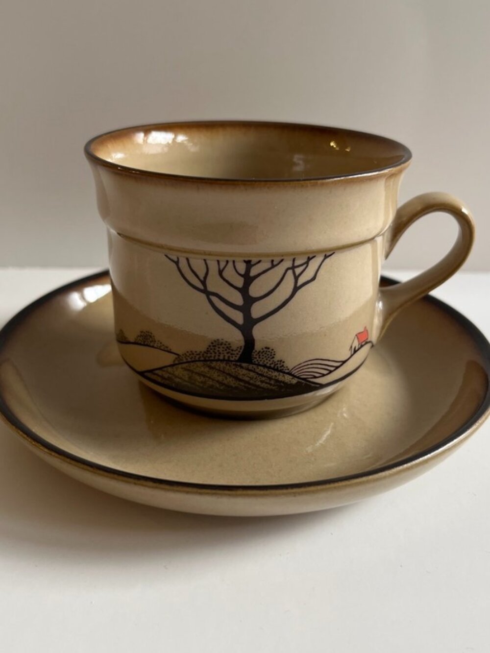 Denby Langley Savoy Cup & Saucer Set Vintage 1982-87 Stoneware England